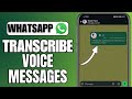 How To Transcribe Voice Message On WhatsApp | iOS & Android