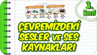 Çevremizdeki Sesler ve Ses Kaynakları 🔉 3.Sınıf Fen #2023