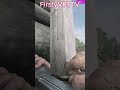 oh my not againXD#clip #gaming #huntshowdown #vtuber #action #huntshowdownclips  #twitchstreamer