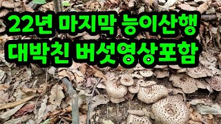 22년 마지막 능이산행과 대박사건 모음영상