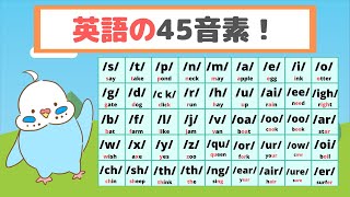 【これで怖いものなし！】音素とは？英語の４５音素を知ろう。