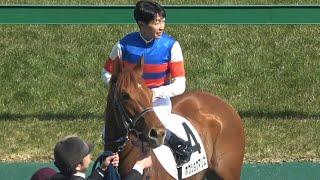 【馬上で口取り】2025 3歳未勝利 ホウショウマリス 武豊【勇退する河内洋厩舎の馬で勝利】