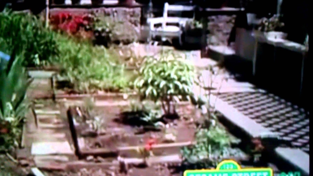 Sesame Street Letter "B" Garden - YouTube