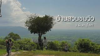 พาลุงเที่ยว EP.2 | ต้นไม้รูปหัวใจ เนินมะปราง | จ.พิษณุโลก