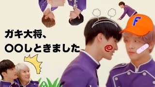 【NCT DREAM｜日本語字幕】やっぱりチルドリはいいなぁ