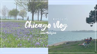 🇺🇸 Vlog  | 시카고의 여름 | 미시간호수 | 하이드파크 | Lake Michigan | Kong dog | Hyde Park | Promontory Point