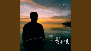 我曾那么爱你你不懂 (DJBanan版)