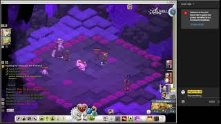 Playing Wakfu for the first time