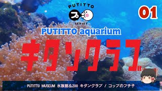 【ゆっくり開封】 PUTITTO MUSEUM ニフレル 01 水族館＆ZOO キタンクラブ / コップのフチ子