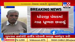 Rajkot: Farmers fear damage to crops as dense fog surrounds Dhoraji | TV9Gujaratinews