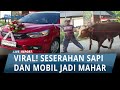 VIRAL!!! Seserahan Pengantin di Tuban Bak Sultan, Sapi hingga Mobil Jadi Mahar