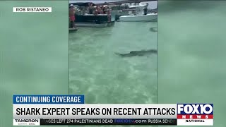 Local marine scientist weighs in on recent Florida shark attacks