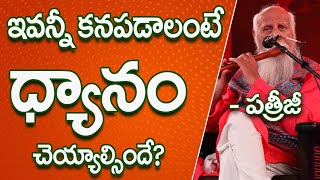 ఇవన్నీ కనపడాలంటే ధ్యానం చెయ్యాల్సిందే? | Patriji Telugu Sandesalu