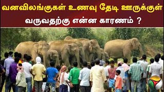 வனவிலங்குகள் உணவு தேடி ஊருக்குள் வருவதற்கு என்ன காரணம் ?