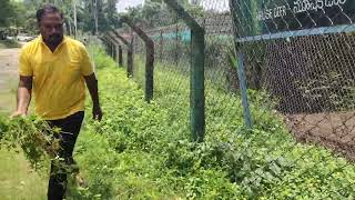 FEEDING DEER AT KINNERASANI DEER PARK🦌🌿