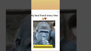 my best friend every time#short#funny#trending#shorts videos#viral