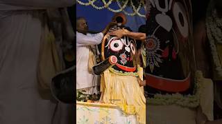 জয় জগন্নাথ প্রভু 🙏 Jai Jagannath Prabhu 🌼🌼🙏 #jagannath #puri #jagannathtemple #shorts