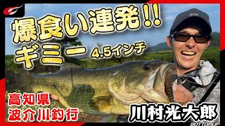 『爆食い連発‼ギミー4.5インチ！ 高知県 波介川釣行  / 川村光大郎』