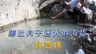 9级大风天阿灶躲到悬崖下抽坑，发现脚比身子还大的海货，好奇特