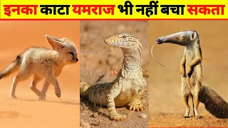 ⚠️दुनिया के गज़ब जहरीले जानवर जिनका काटा यमराज 👹भी नहीं बचा सकता|most poisonous animals in the world