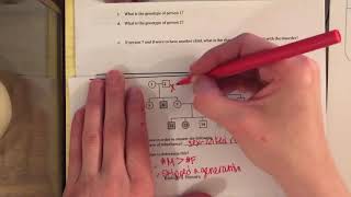 Honors Identifying Pedigrees Practice 2 of 2