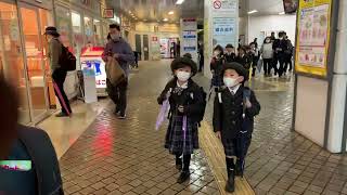 Walk through Japan | Japan travel | ICHIGAO | YOKOHAMA DISCOVER JAPAN #discoverjapan