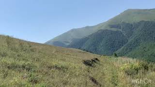 Արոտի ջրային կառավարում / Pasture Water Management @mountainhighfarms