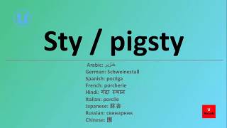 Sty / pigsty meaning and how to pronounce | U Vocab