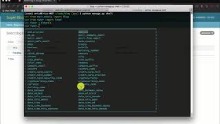 Generating random data in Django