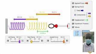 Hooke's Law Simulation | Science Experiment | Virtual Lab Simulation