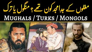 Were the Mughals Turks or Mongols | History of Mughal Empire in Urdu | YTUrdu