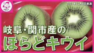 キウイフルーツも特産品の岐阜・関市　しかし、高齢化で生産量は最盛期の３分の１以下に　“クラファン”による支援の輪で「キウイ」を守る