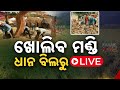 ଖୋଲିବ ମଣ୍ଡି || Paddy Mandis To Be Opened In Odisha || Kanak News Digital