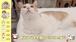 쵸체크 라이브 | 새로운 멤버쉽 배지 만들기