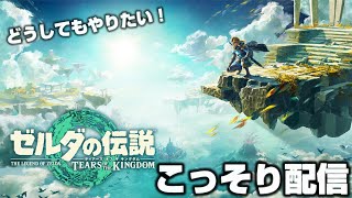 微妙な時間にこっそりティアキン配信