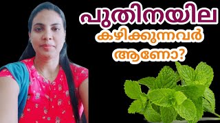 പുതിനയില കഴിക്കുന്നവർ ആണോ? Mint Leaves In Malayalam||@HealthiesBeauties