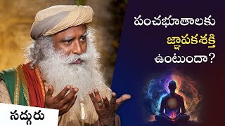 పంచభూతాల గురించి సైన్సు ఏం చెబుతోంది? What Yoga Says About Quantum Physics #sadhguru #yoga #science