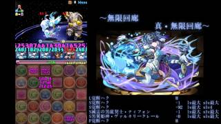 【パズドラ】真・無限回廊　覚醒ハクpt