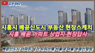 시흥시 배곧신도시 부동산 현장스케치 배곧 아파트 상가 오피스텔 주택단지 현장답사 시흥 배곧 신도시 부동산탐방