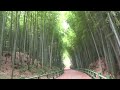 【公園探索動画 sony fdr ax100】 牧野ヶ池緑地（名古屋市名東区）の竹林の小径を探索してみた