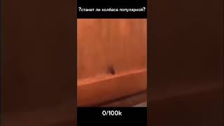 #колбаса