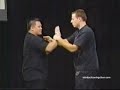 wing chun chi sao fast and slow mo