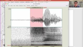 Linguistics 341 - Introduction to Phonetics - Fricatives II