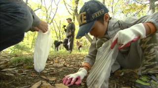 風の言葉（2012.11.25）～栃木県日光市～