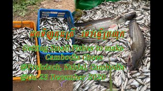 #ទិញត្រីប្រហុក នៅព្រែកដាច់ ស្រុកលើកដែក ខេត្តកណ្ដាល #Buying small fish to make cheese at Kandal.