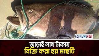 টেকনাফে জেলের জালে ধরা পড়ল ৫ মণ ওজনের ভোল মাছ | News24