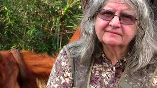 Conversation with Conservationists: Dr Birute Galdikas saving the  Bornean orangutans