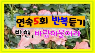 박현 - 바람아 불어라 5회연속 듣기