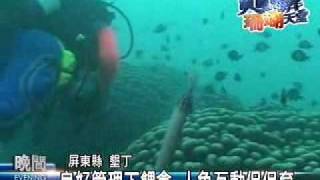 公視珊瑚產卵系列報導：後壁湖潛水.餵魚 墾丁觀光賣點