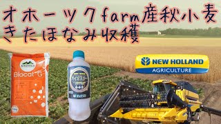 🍜オホ－ツクfarm産秋小麦 きたほなみ収穫🍜